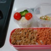 節約お弁当🥰