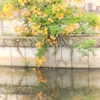「遠くへ行きたい」は福山