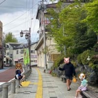予定なし気ままに行動🚗