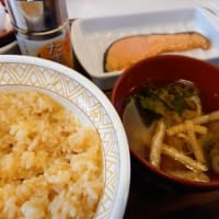 秋田県寒風山イドウ