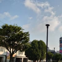 今日の博多３４９　【テスラ一人負け】