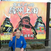 葉桜観に信州上田城へ