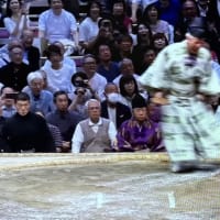 大関大の里が横綱昇進へ２場所連続優勝