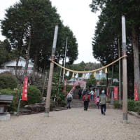幸田しだれ桜
