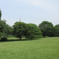 明治神宮の一日