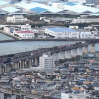 2024.3.26 瀬戸大橋を渡る貨物列車