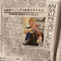 本日土砂降りからの曇り