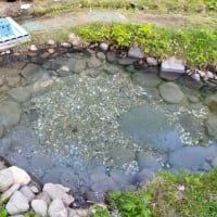 連休後半も天気に恵まれ、山ごもり