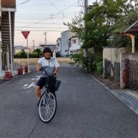 　　　　２０２５年　０１月～０６月　の総括　です。