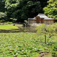 ★小石川後楽園