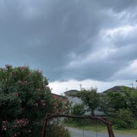 血圧高めの原因だったかも知れない