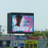 Ｊ1第10節　サガン鳥栖ＶＳ湘南ベルマーレ　　