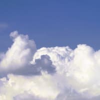 今日の空・・・