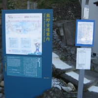 2013.01.04　3日目　小雲取越（小口自然の家から熊野本宮大社）29397歩
