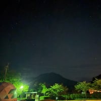 夜中の別邸わんこ日和のドッグラン