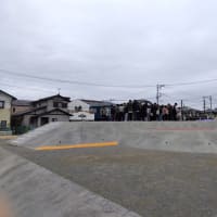 卒業プロジェクト
