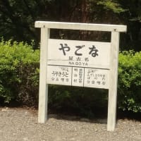 3日目です
