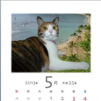明日は、また寒いそうな　(＠_＠;)