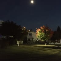 読者様7,000名突破‼️
