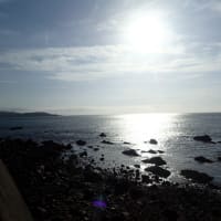 夏の海