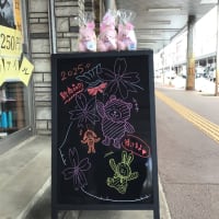 春の新商品　第一弾！　Spring-festival
