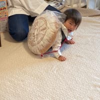 江戸川の春