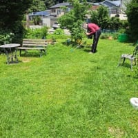 庭のお花を見て回ったよ・Mお兄ちゃんが草刈り　お父さんの治療記録　２５．６/２０