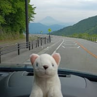グルグルな峠は犬猫モードで撮影…