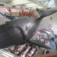 古式捕鯨発祥の地の「くじらの博物館」