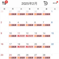 2025年2月の走行記録