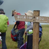 美ヶ原高原ハイキング