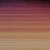 a dusk carpet