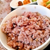 たぬきつながり(^^)v美味しいお店　　～たぬき＆ノグリ～