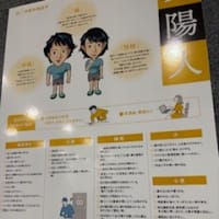自分の四象体質 韓方ウィーク2025