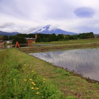 富士山　今朝二度目なる散策に...  なんとか、見られるような... ( ^)o(^ )