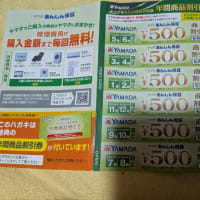 待望のランチに行きました