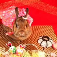 まとめあげ　（汗
