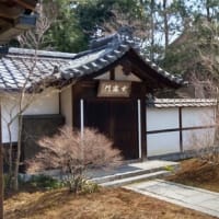 京都　建仁寺　西来院の庭園が大改修されました