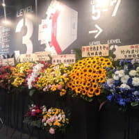 「souvenir2025 mariya takeuchi live」