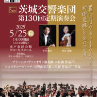 On May 25, Natsuho delivered the greatest performance of Brahms's Violin Concerto in history.