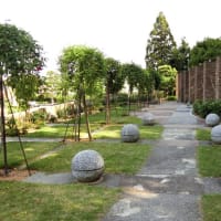 兵庫県伊丹市の「荒牧バラ公園」へ行きました