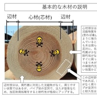 ２８０.木材の特性と耐久性