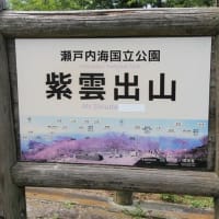 紫雲出山のアジサイ