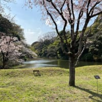 自分らしく楽しく生きる