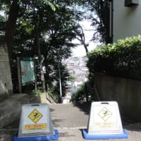 和光市白子の百段階段！ふらりとやって来ました。実際は77階段でした。