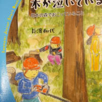 木が泣いている　林業　木こり