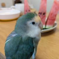 嬉しい事色々🍀