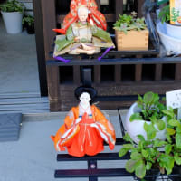 素晴らしい！
