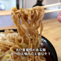【限界を越えろ上越】ラーメン豚1枚麺300g　全マシ【新潟県上越グルメ】上越スチール販売(株)