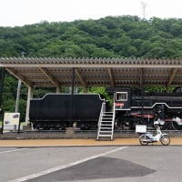 勝手に妄想してみた（笑） D51 481